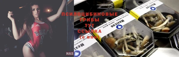 mix Абаза