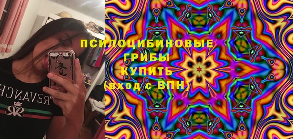 соль ск Алзамай