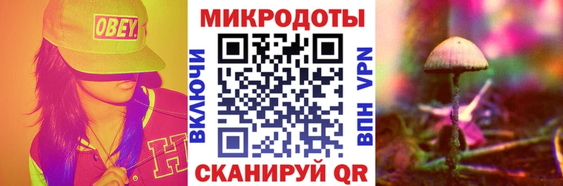 Галлюциногенные грибы прущие грибы  дарнет шоп  Скопин 